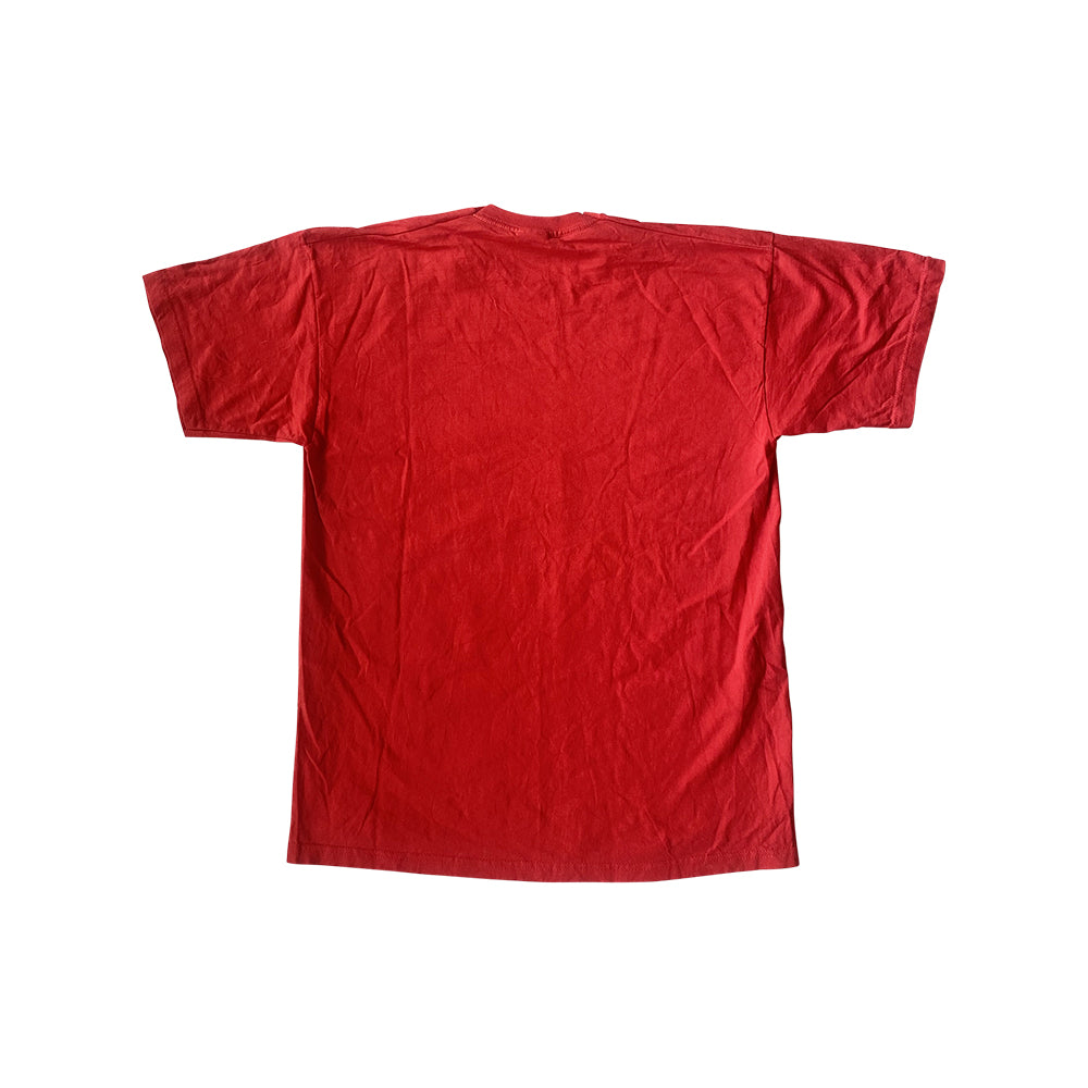 ARSHAVIN GUNNERS T-SHIRT