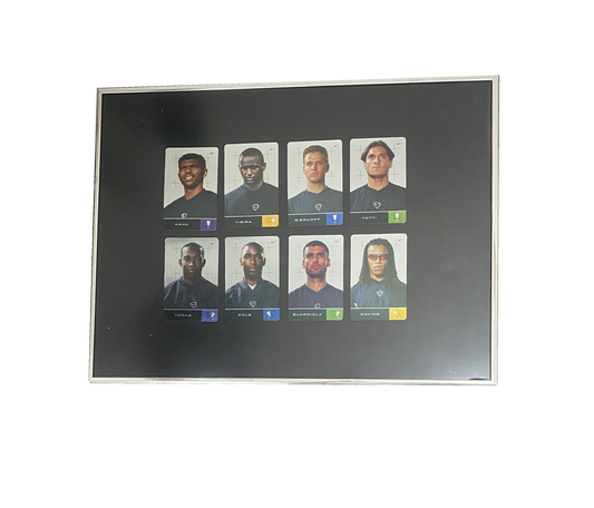 FRAMED NIKE PARK CARDS